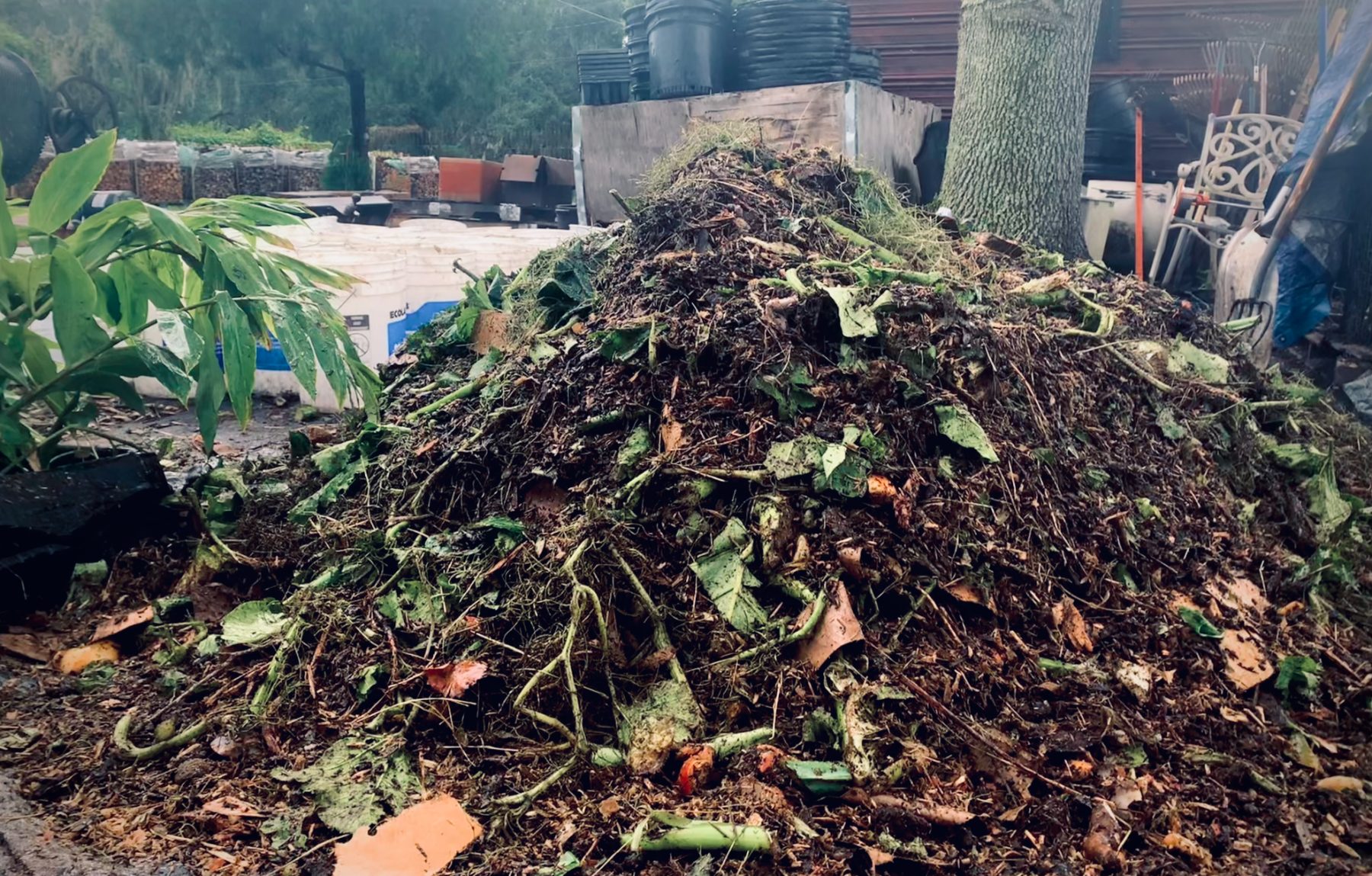 Compost being turned in the field