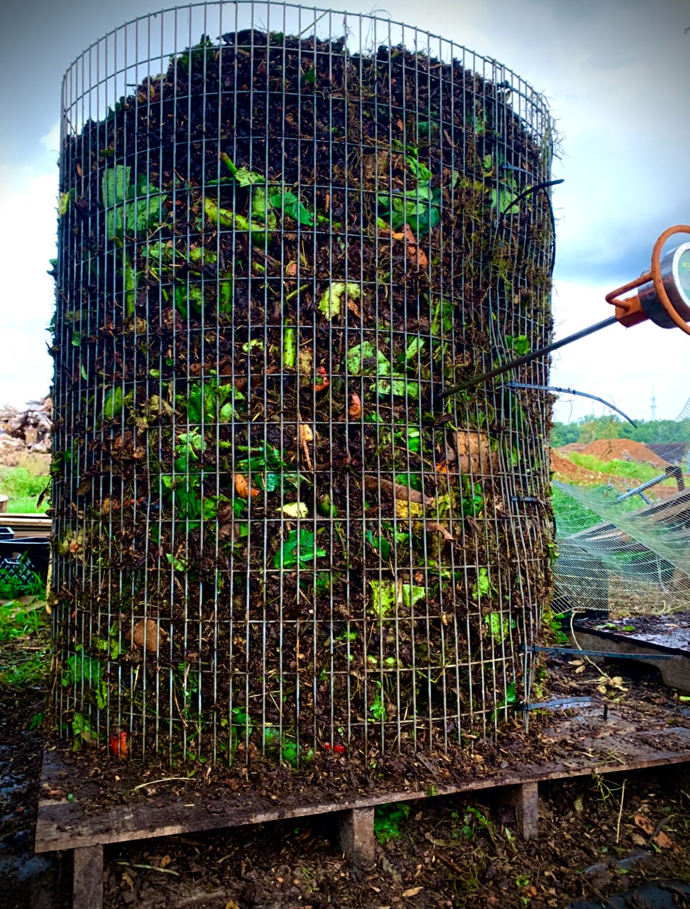 A living vertical garden system