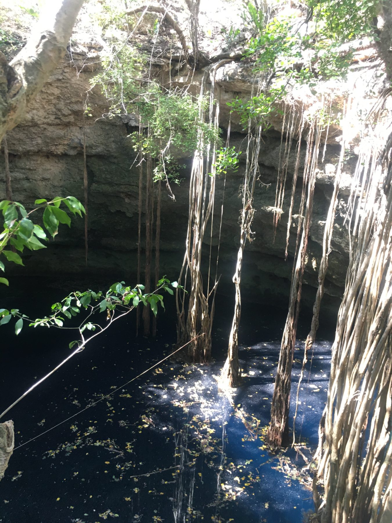 Inside a Yucatan cenote — limestone walls and still dark water