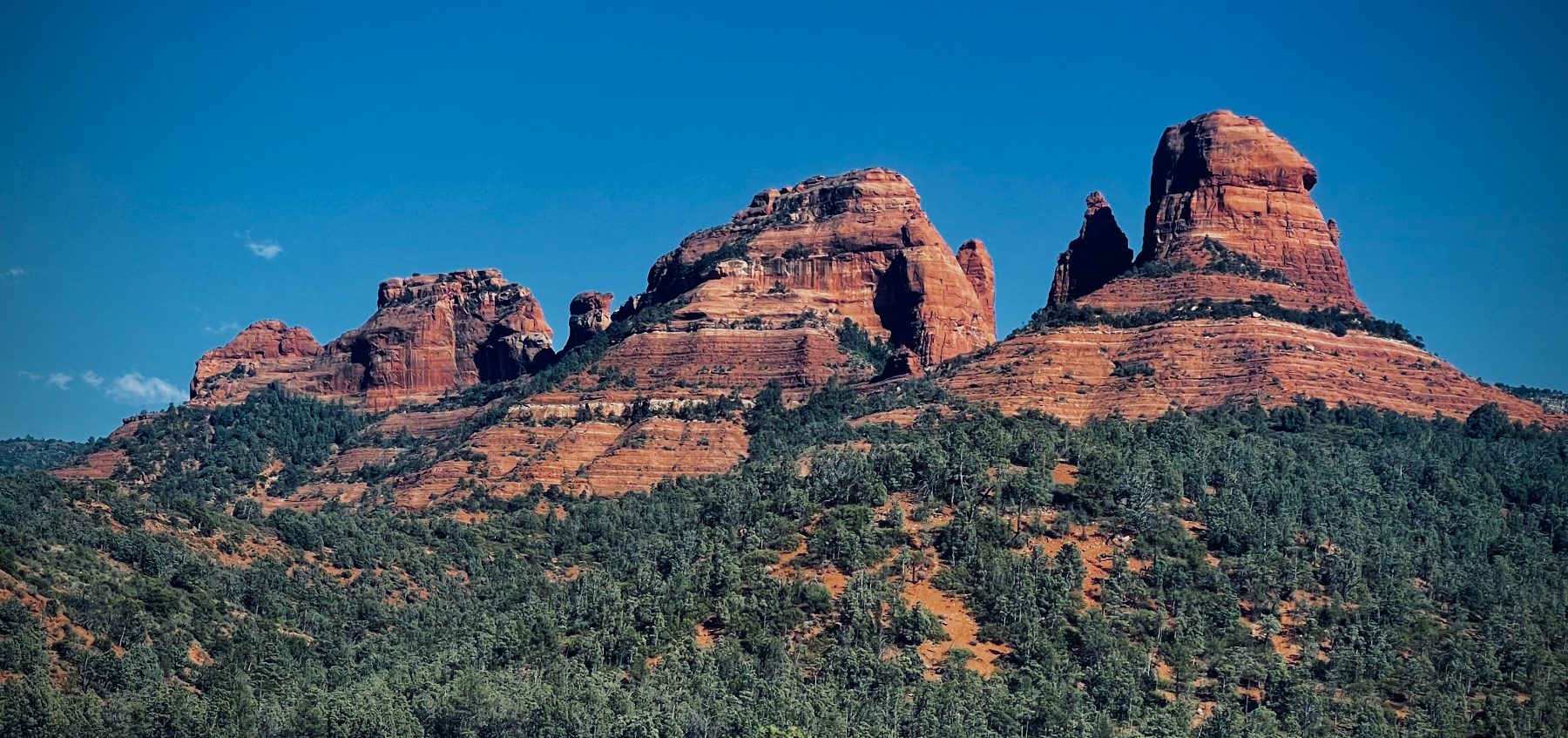 Red rock buttes rising over evergreen terrain
